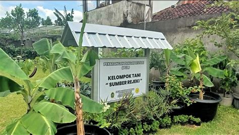 Portal Berita Pemerintah Kota Yogyakarta Lorong Hijau Gowongan Ubah