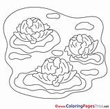 Cabbage Coloring Colouring Farm Pages Sheet Title Coloringpagesfree sketch template
