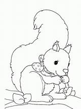 Eekhoorn Kleurplaten Kleurplaat Squirrel Ecureuil Coloriages Mewarnai Bajing Bergerak Scoiattoli Animaatjes Scoiattolo Animate Afdrukken Kleurplatenwereld Stemmen sketch template