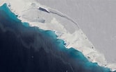 Afbeeldingsresultaten voor "coelographis Antarctica". Grootte: 167 x 104. Bron: abcnews.go.com