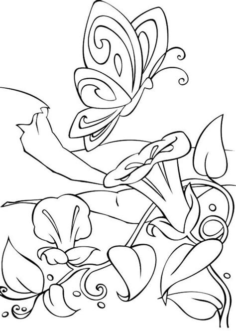 amazing world  barbie fairytopia coloring pages  place  color