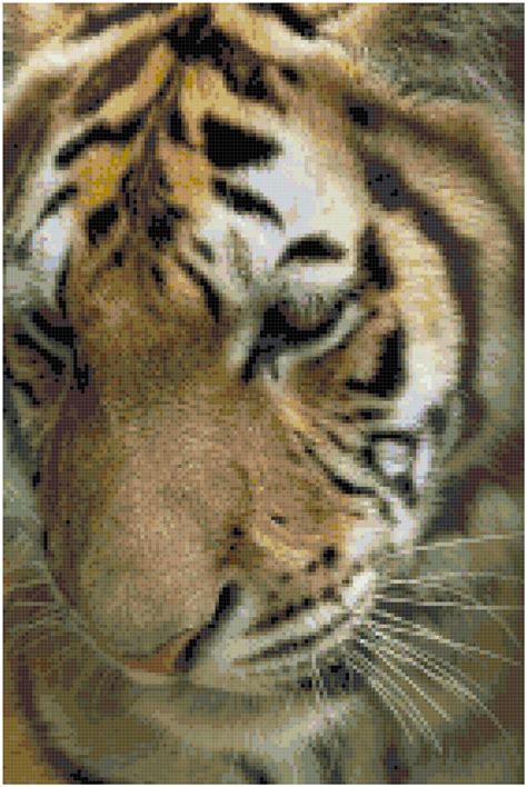tiger counted cross stitch pattern chart    etsy
