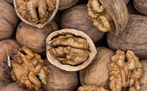 cracking on with the walnut harvest in suffolk the telegraph