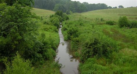 riparian buffers  improve water quality friends