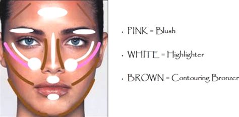 how to apply bronzer highlighter and blush how to wiki 89