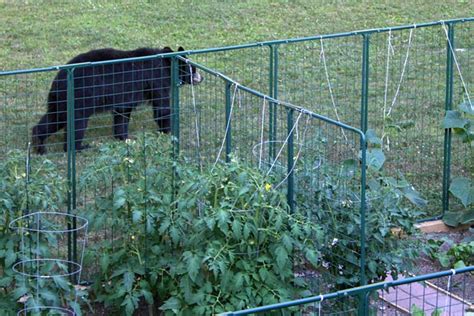 Garden Fencing Protection From Deer Rabbit Proof Critter