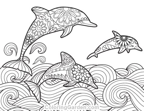 printable dolphin adult coloring page     format