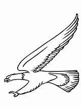 Disegno Colorare Aguila Aquila Zeearend Vuelo Aquile Eagle Incantevole Attak Titon Calva Scaricare Atuttodonna sketch template