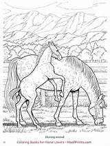 Hoofprints Dover Malvorlagen Zeichnen Pferde sketch template