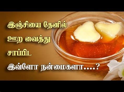 health benefits  ginger  honey tamil health tips
