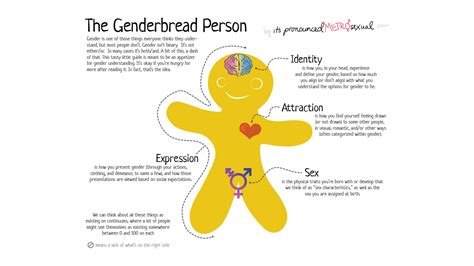 “genderbread person” rears his head in qld schools binary