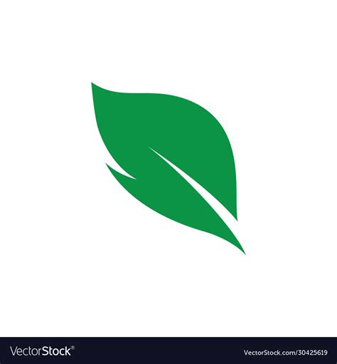 leaf symbol icon royalty  vector image vectorstock