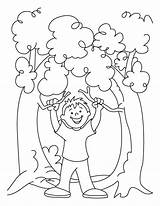 Coloring Pages Arbor Environment Giving Tree Trees Printable Color Kids Boy Thanksgiving Disney sketch template