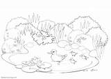 Pond Coloring Pages Ducks Happy Swimming Printable Kids Print Color sketch template