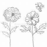 Blommor Skissar sketch template