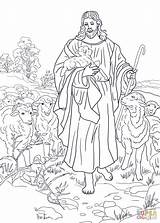 Coloring Shepherd Jesus Good Pages Supercoloring Printable Sheep Color Am Lamb Parable Clipart Kids Adult Drawing Sheets Catechesis Adults Template sketch template