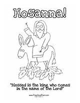 Coloring Hosanna Pages Bible Palm Jesus Donkey Branches Preschool Lesson Preschoolpost sketch template
