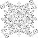 Coloring Pages Mandala Fall Leaves Mandalas Printable Leaf Adult Sheets Choose Board Book sketch template