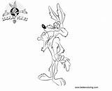 Coyote Looney Tunes Wile Coloring Pages Kids Printable Color sketch template