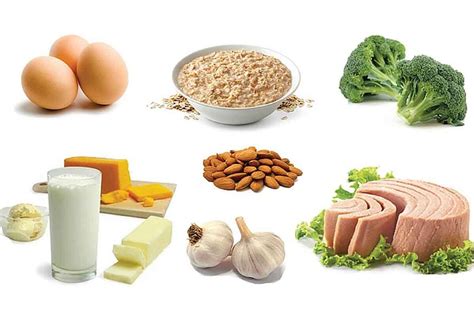 high protein rich foods role  protein  weight loss