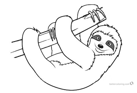 sloth coloring pages realistic  toed sloth  printable