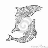 Coloring Dolphin Book Adult Vector Adults Zentangle Animal Sea Illustration Tribal Tattoo sketch template