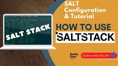 salt   configure salt    saltstack salt ssh