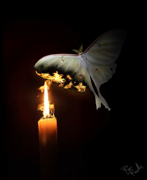 moth   shattered  deviantart candle photography