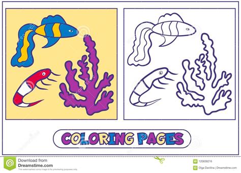 habitantes marinos  colorean pages ilustracion del vector