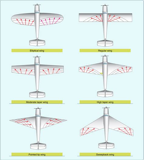 effect  wing planform aerodynamics  flight