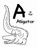 Coloring Letter Animal Alligator Pages Zoo Sheets Printable Alphabet Letters Preschool Color Kids Alfabet Alligators Abc Being Moms Animals Activities sketch template