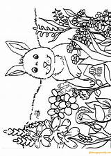 Coloring Pages Nature Spring Kids Flowers Rabbit Cute Color Coloringpagesonly Printable Getcolorings sketch template