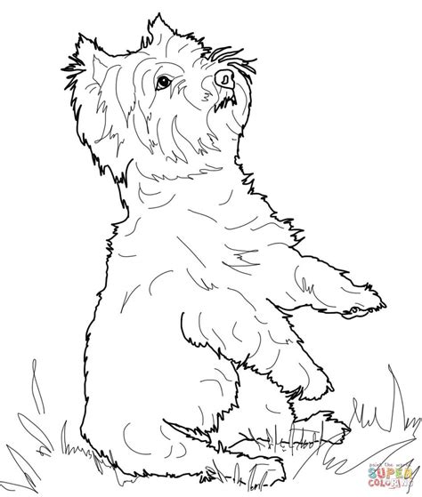 printable yorkie coloring pages