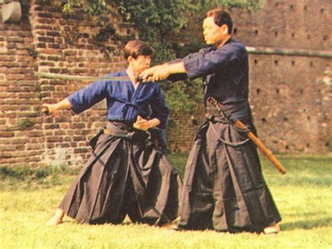 Ancient Japan Martial Arts