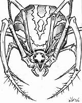 Spider Scary Drawing Getdrawings Drawings Paintingvalley sketch template