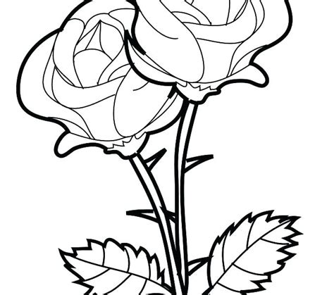 rose coloring page images
