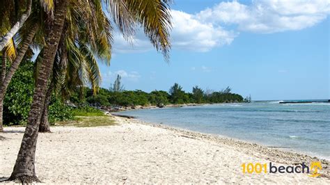 los cocos beach