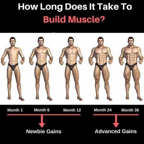 how long does it take to build muscle the time frame in which you can