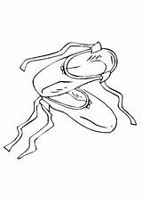 Bailarinas Ballett Schuhe Bailarina Ausmalbild Pintar Coloringhome Q1 Letzte sketch template