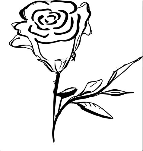 rose flower coloring page  wecoloringpagecom