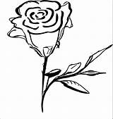 Coloring Rose Flower Wecoloringpage sketch template