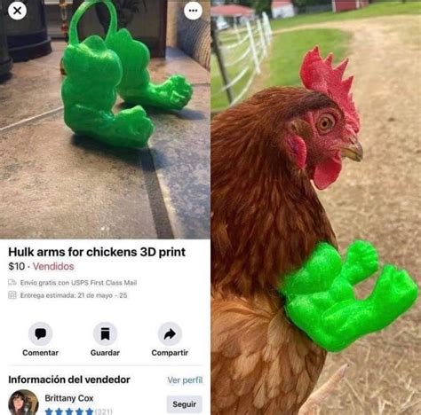 the best chicken memes memedroid