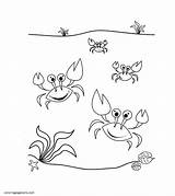 Crabs sketch template