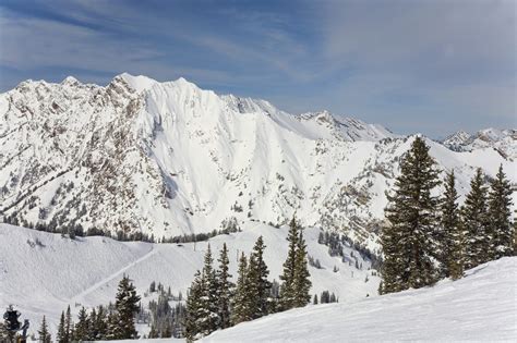 alta ski area winter vacation planning guide bearfoot theory