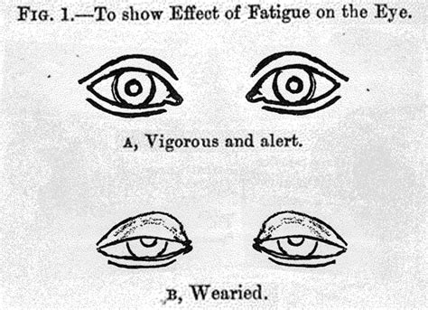 alert eyes  wearied eyes library archive open research services