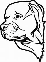 Hunde Ausmalbilder Cani Malvorlage Rottweiler Ausmalbild Testa Heilpaedagogik Oder sketch template