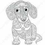Coloring Pages Lps Dog Dachshund Getcolorings sketch template