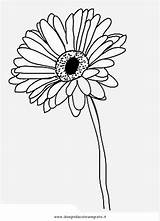 Gerbera Daisy Coloring Gerber Pages Drawing Getdrawings 55kb 860px Getcolorings Drawings Draw sketch template