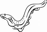 Clipart Eel Clip Stamps Clipartmag Drawing Carving Moray Carve Coloring sketch template