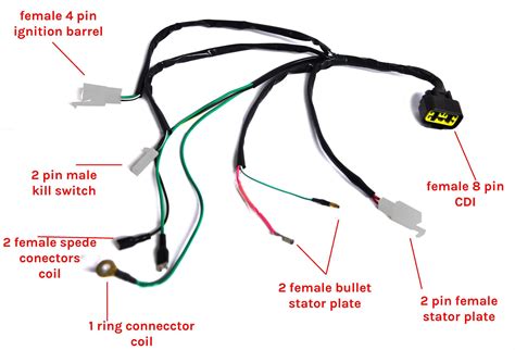 craftism ssr  pit bike wiring diagram